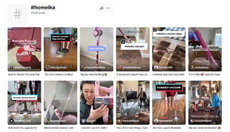 海外红人营销|狂卖3亿！“戴森平替”宠物吸尘器在TikTok爆了！